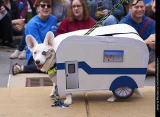Tour de Corgi - Costume Contest - Mobile Home