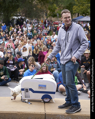 Tour de Corgi - Costume Contest - Mobile Dog Home