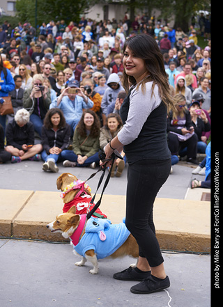 Tour de Corgi - Costume Contest