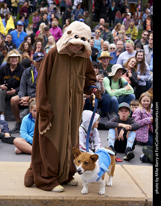 Tour de Corgi - Costume Contest
