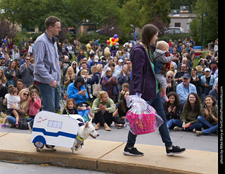 Tour de Corgi - Costume Contest - Winners