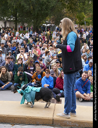 Tour de Corgi - Costume Contest - Statue of Liberty