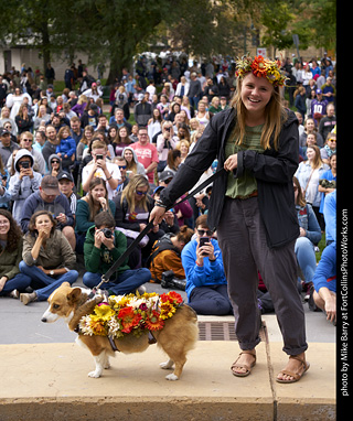 Tour de Corgi - Costume Contest - Flowers