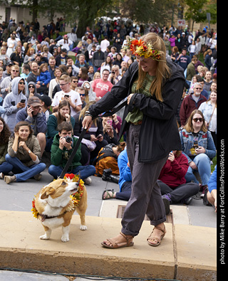 Tour de Corgi - Costume Contest - Flowers