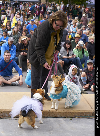 Tour de Corgi - Costume Contest