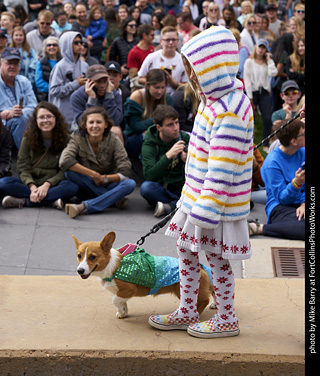 Tour de Corgi - Costume Contest