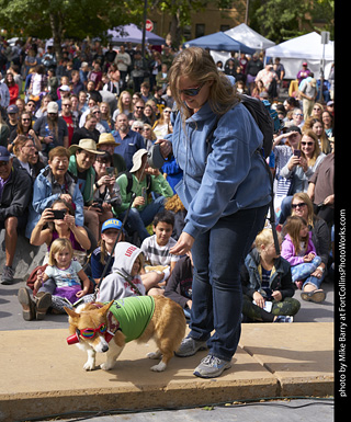 Tour de Corgi - Costume Contest