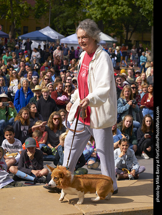 Tour de Corgi - Costume Contest - Lion