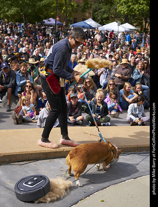 Tour de Corgi - Costume Contest - Corgi Rhumba