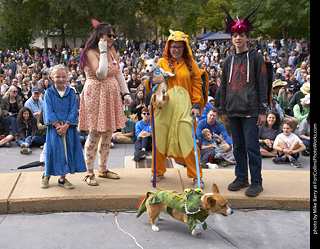 Tour de Corgi - Costume Contest #3