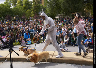 Tour de Corgi - Costume Contest - Wizard of Oz