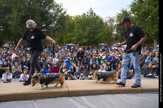 Tour de Corgi - Costume Contest - Bikers