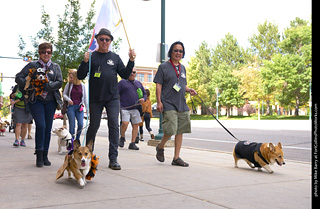 Tour de Corgi - Tour #1