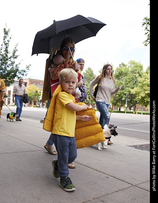 Tour de Corgi - Tour #1