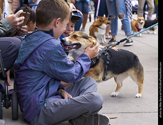 Tour de Corgi - Tour #1