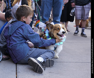 Tour de Corgi - Tour #1