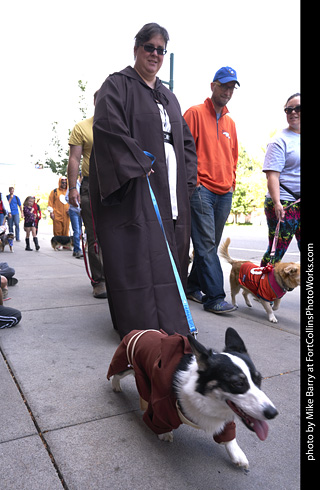 Tour de Corgi - Tour #2