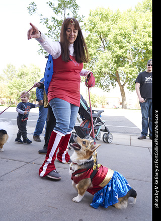 Tour de Corgi - Tour #2