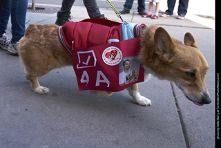 Tour de Corgi - Tour #2