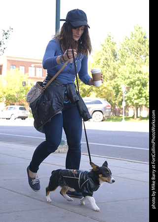 Tour de Corgi - Tour #2