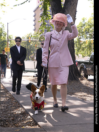 Tour de Corgi - Tour #3