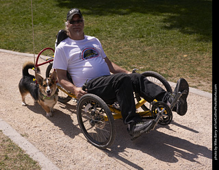 Tour de Corgi - Tour #3