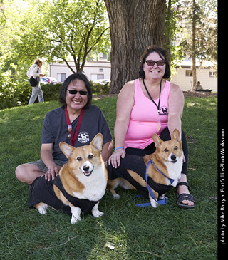 Tour de Corgi - Tour #3