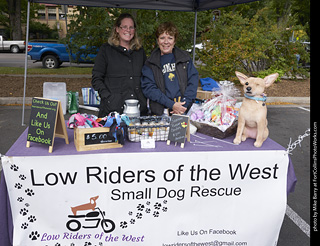 Tour de Corgi - Vendors