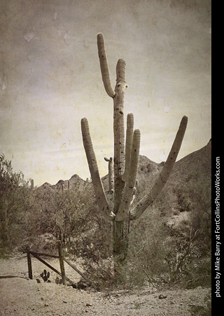 Stage 2 at Old Tucson