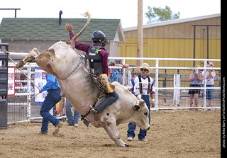 Never Summer Rodeo - Bull Riding