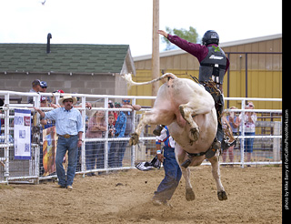 Never Summer Rodeo - Bull Riding
