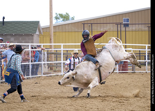 Never Summer Rodeo - Bull Riding