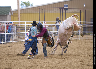 Never Summer Rodeo - Bull Riding