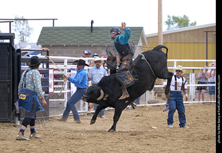Never Summer Rodeo - Bull Riding