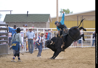 Never Summer Rodeo - Bull Riding