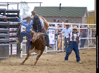 Never Summer Rodeo - Bull Riding
