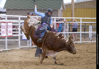 Never Summer Rodeo - Bull Riding
