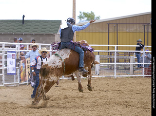 Never Summer Rodeo - Bull Riding