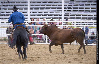 Never Summer Rodeo - Bull Riding