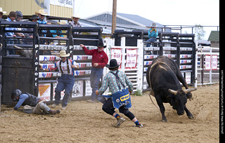 Never Summer Rodeo - Bull Riding