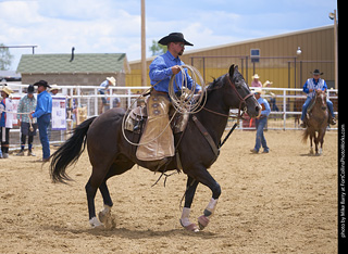 Never Summer Rodeo - Cowboys and Cowgirls