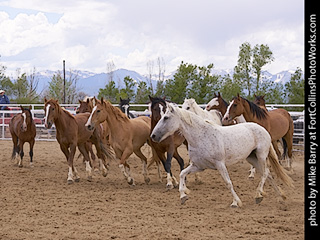 2022-06-25 - Never Summer Rodeo