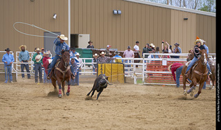 Never Summer Rodeo - Mixed Team Roping