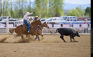 Never Summer Rodeo - Mixed Team Roping
