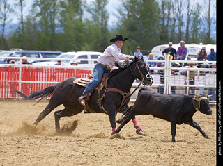 Never Summer Rodeo - Open Team Roping