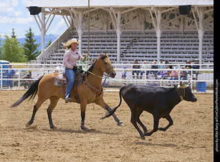 Never Summer Rodeo - Open Team Roping