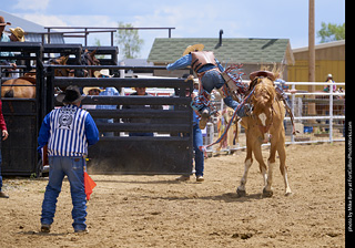 Never Summer Rodeo - Saddle Bronc Riding