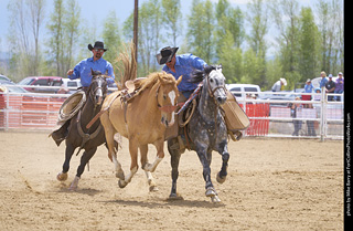 Never Summer Rodeo - Saddle Bronc Riding