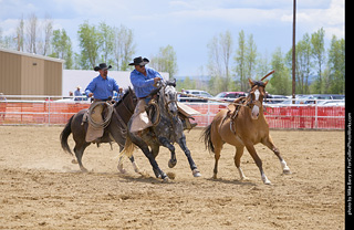 Never Summer Rodeo - Saddle Bronc Riding