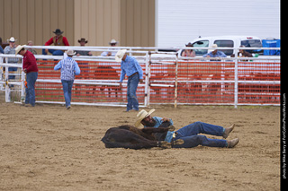Never Summer Rodeo - Steer Wrestling